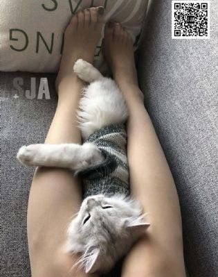 白洁小说在线阅读_高清电影-免费完整版