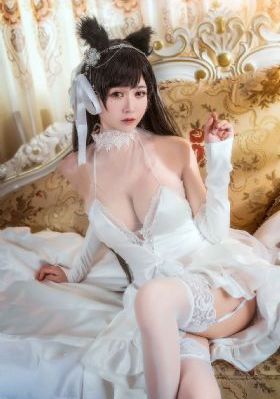 1000部精品久久久久久久久_高清免费观看